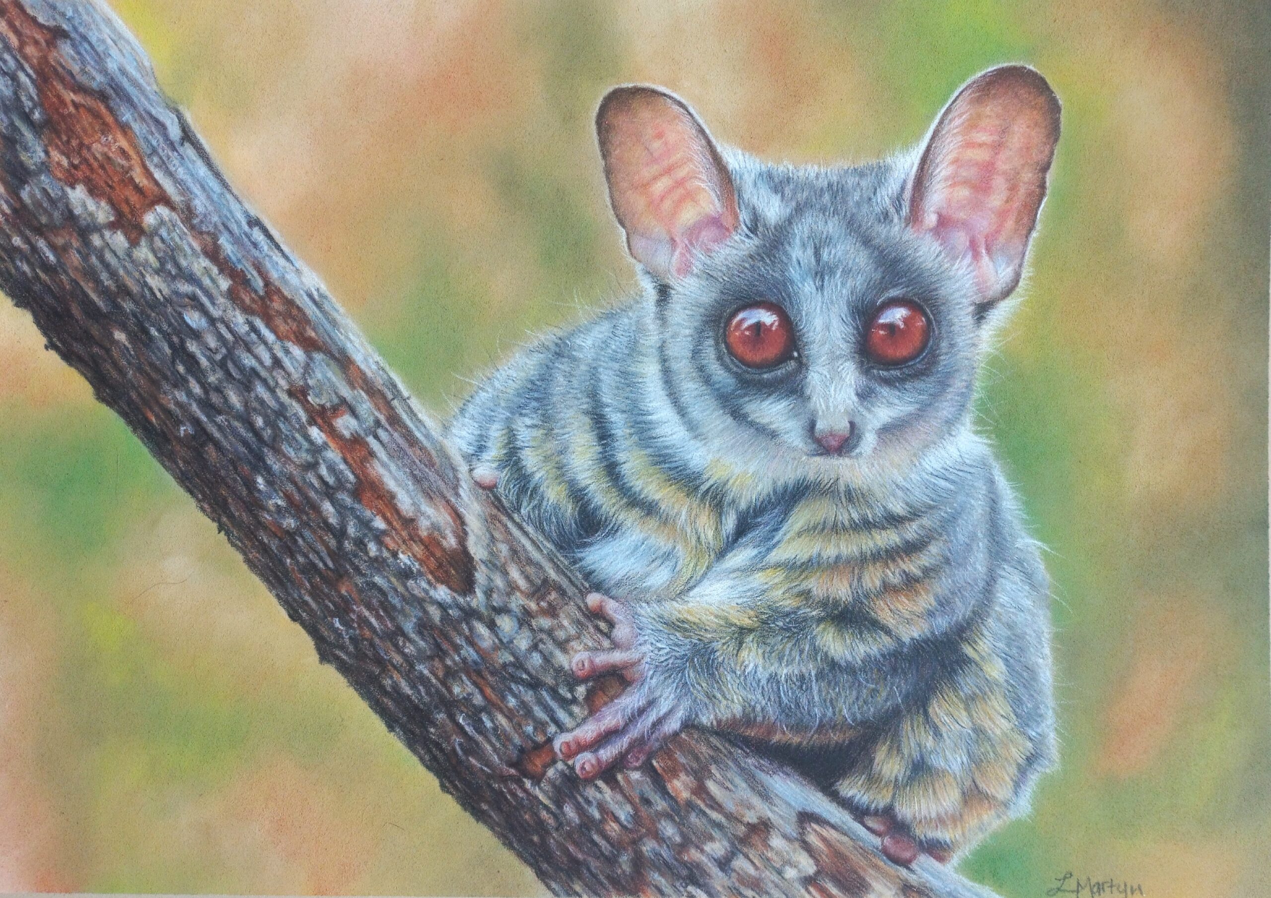 2022 - Forest Fairy - AVAILABLE