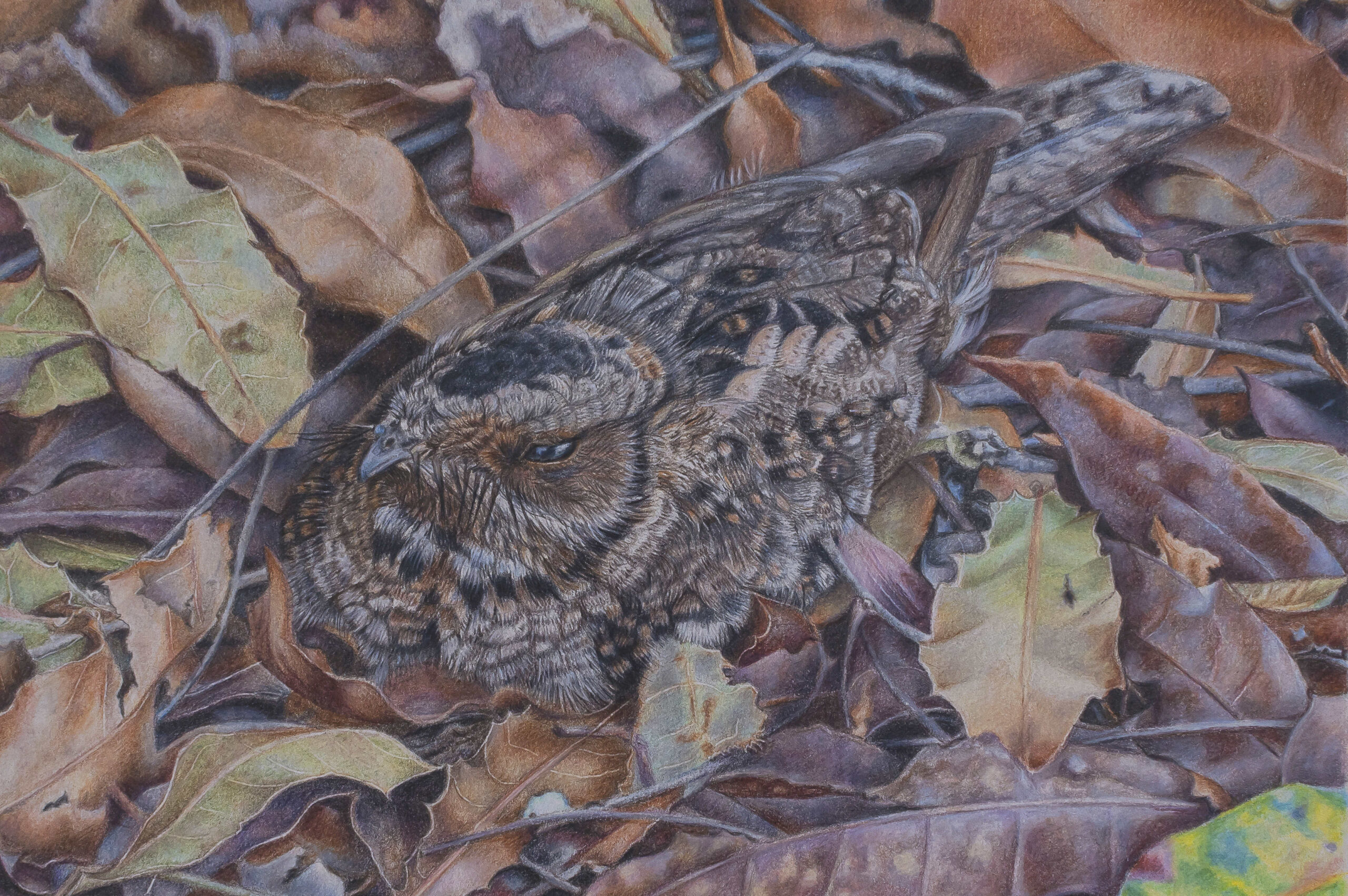2022 - Hidden Treasure - SOLD