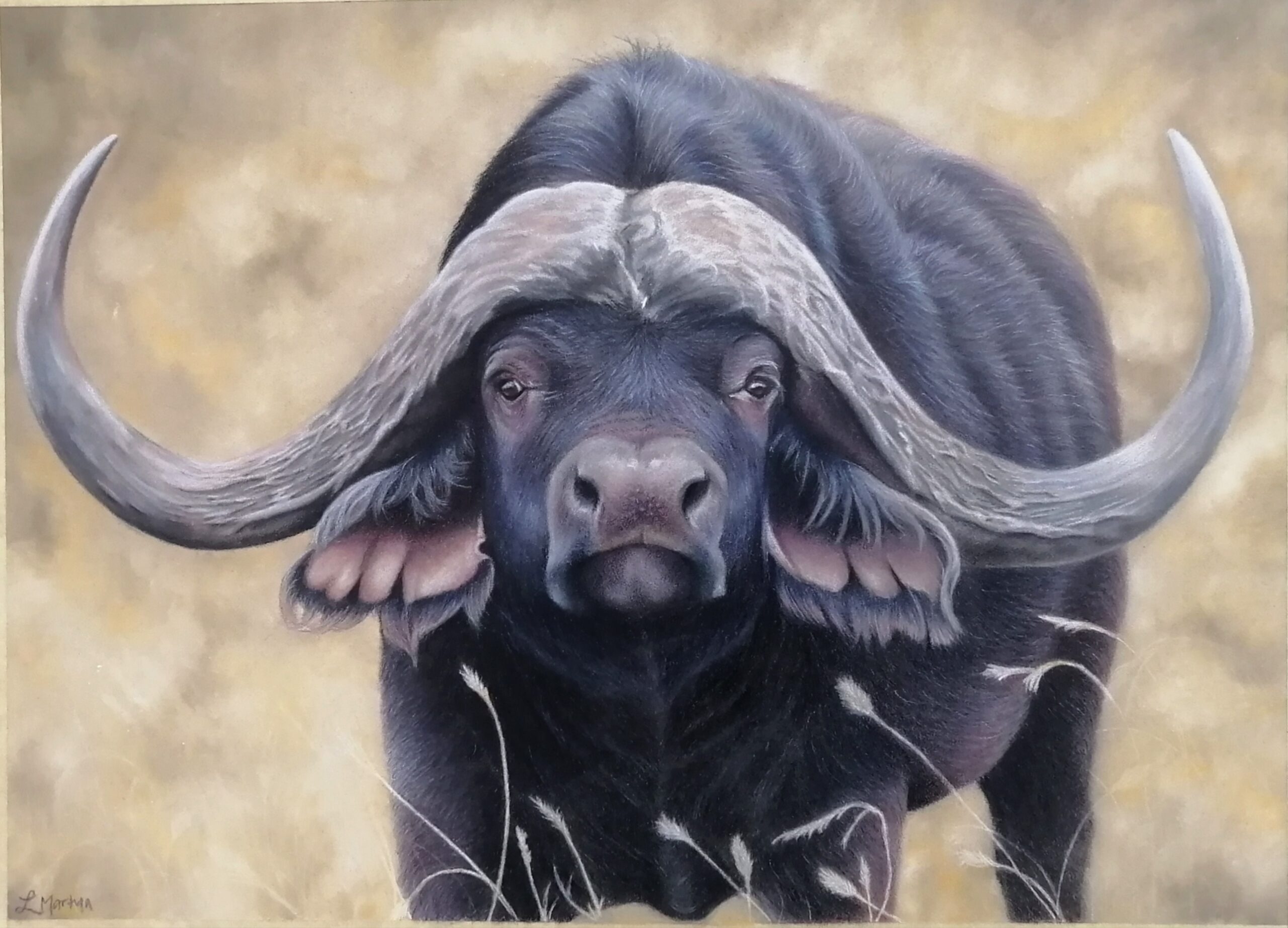 JELANI - coloured pencil on pastelmat. A3